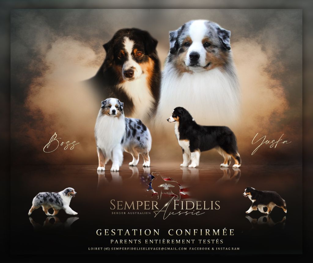 Naissance Fin Décémbre 